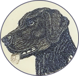Der Retriever