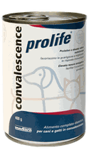 PROLIFE CONVALESCENCE WET
