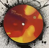 Seba ‎– Are We Dreaming