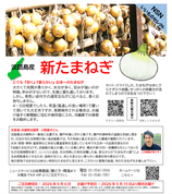 淡路島産　新たまねぎ　※5月15日から順次お届け