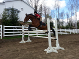 Cours d'équitation classique 60min