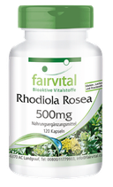 Rhodiola Rosea (Rosenwurz)