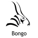 Bongo 2