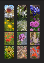 Wandkalender DIN A4 Hochformat