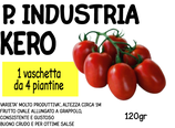 0011 POMODORO CIRIO INDUSTRIALE  VARIETA' KERO 4PZ