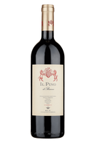 Il Pino di Biserno, 2023