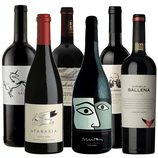 Wine Flight Premium, Probierpaket mit Rotwein aus Südafrika, Argentinien und Uruguay
