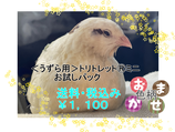 トリトレットⓇミニお試しパック　色柄お任せ