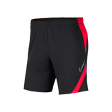 Shorts Nike Academny Pro Shorts Women Grau/Rot L
