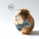 Bow Tie For Guinea Pig - Grey