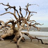 Seaside Sage - Duftwachs