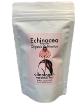 Echinacea tea