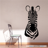 Animales - Cebra observadora
