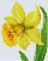 801281 Narcisse