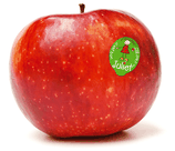 Pomme Juliet bio
