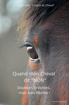 Quand mon Cheval dit "NON"