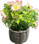 plantje / tafel bloemetje
