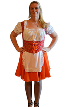 Dirndl Kostüm