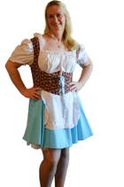 Dirndl Kostüm