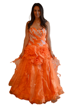 Prinzessin Kleid orange