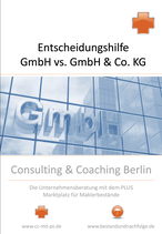 Entscheidungshilfe GmbH vs. GmbH & Co. KG