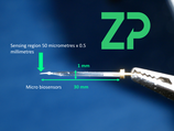 25 micrometer Blank Pt electrode