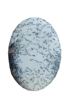 Cabochon Agate Dendritique