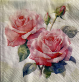SP小9　F41　267130   Rosella