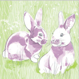 Serviette LINCLASS LILLY UND LENNI 102138