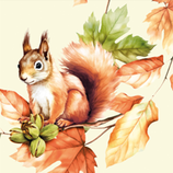 Serviette Airlaid - SKIPPY 106384