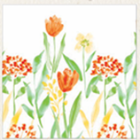 Serviette LINCLASS SELMA 108051