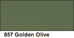 Vallejo Golden Olive Matte