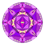 Shunya Cosmic® Aura-Oil Purple - Bewusstsein / Consciousness