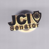 JCI Senator pin gold