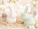Hase Felix
