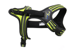 Harness 4 Season Power