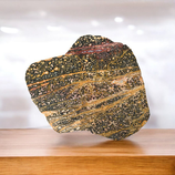 Leopardenjaspis Scheibe