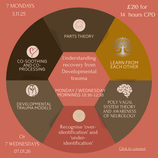 7 Week CPD Developmental Trauma - Mondays 10:30 - 12:30 Starting 3rd November