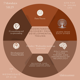 7 Week CPD Developmental Trauma - Wednesdays 10:30 - 12:30 Starting January 2026
