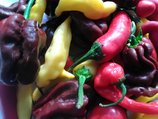 BIO Chili gemischt - 100g