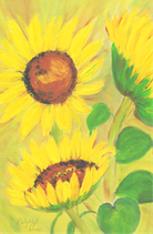 Sonnenblume
