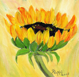 Sonnenblume