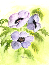 Anemonen