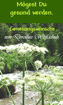 Genesungswünsche