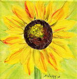 Sonnenblume
