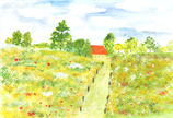 Sommerwiese