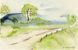 Landschaft / Weg