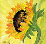 Sonnenblume