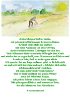 Der alte Mann