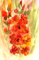 Gladiole